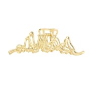 Soho asli Metal Hair Pinmp - Gold